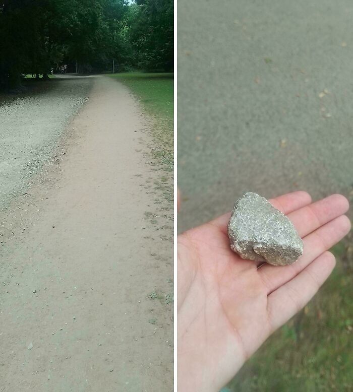 Desire path in a park showing how people choose routes over paved city planning paths.