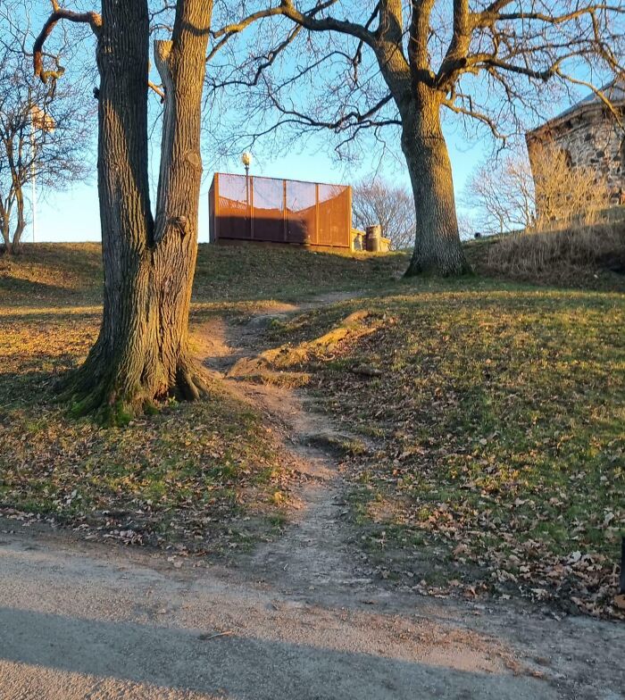 Desire path worn through grass between two trees leading uphill toward a fence, showing how people walk in reality.