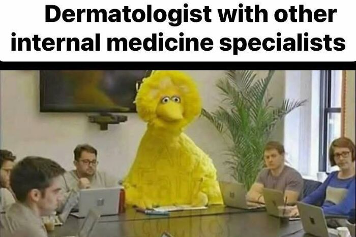 Meme showing a person in a Big Bird costume among serious doctors, highlighting humor in medical and healthcare memes.