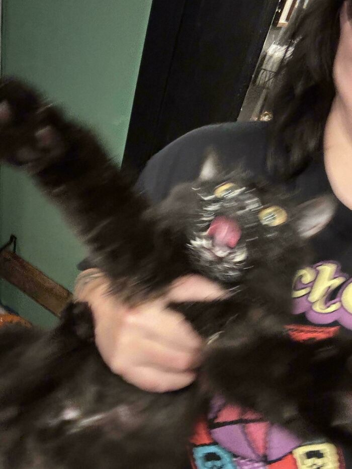 Blurry scrungy black cat being held mid-motion with wide eyes and tongue out, creating a playful and chaotic vibe.
