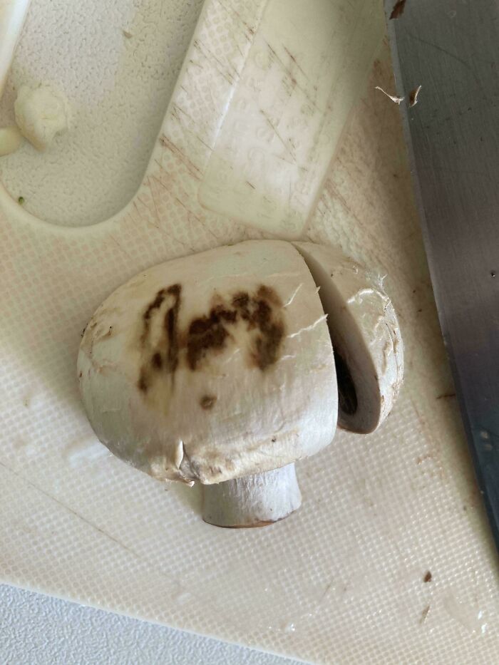 Close-up of a mushroom with an unusual dark pattern resembling a face, part of unhinged images that caught people off-guard.