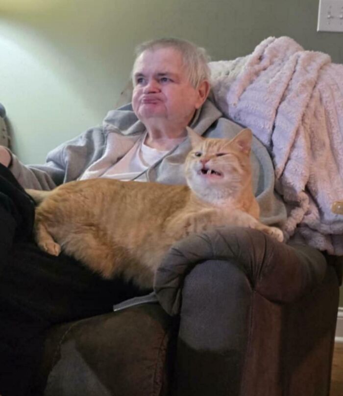 Man sitting on a chair with an orange cat resting on his lap, both making funny expressions in a cozy room setting.
