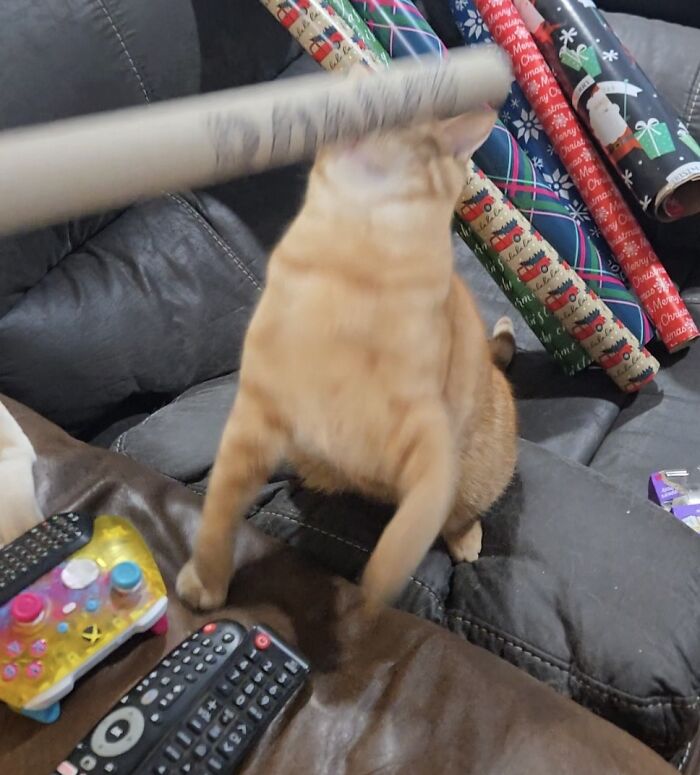 Blurry scrungy cat on couch playing with a roll of wrapping paper near game controller and remotes.