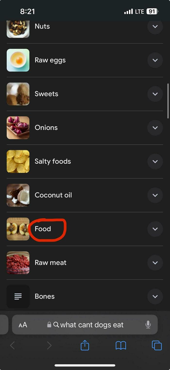 Screenshot of a mobile search showing a list of foods dogs cannot eat, highlighting food safety concerns.