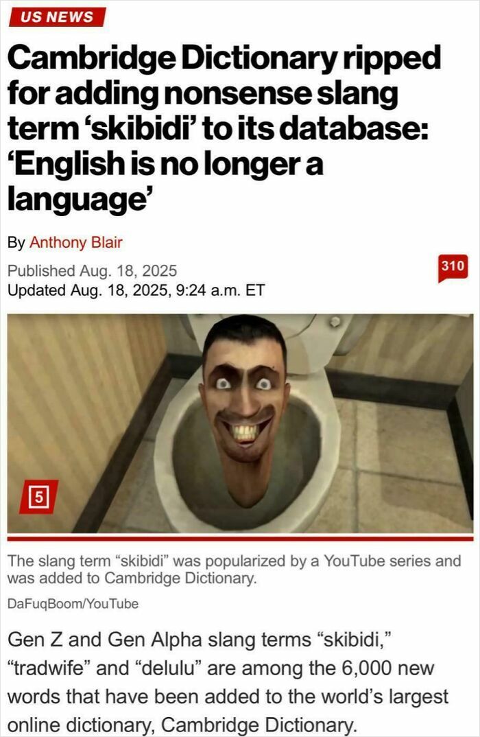 News article about Cambridge Dictionary adding Gen Z slang term skibidi, highlighting wild incidents making headlines in language changes.