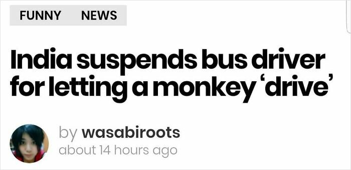 News headline about a wild incident where a bus driver in India was suspended for letting a monkey drive.