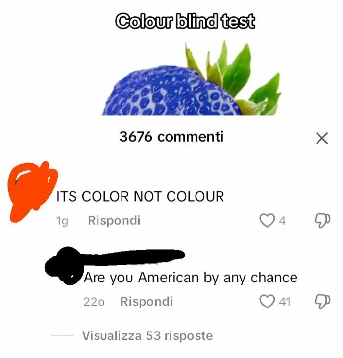 Screenshot of an internet comment arguing American vs British spelling in a ridiculous internet comment roast.