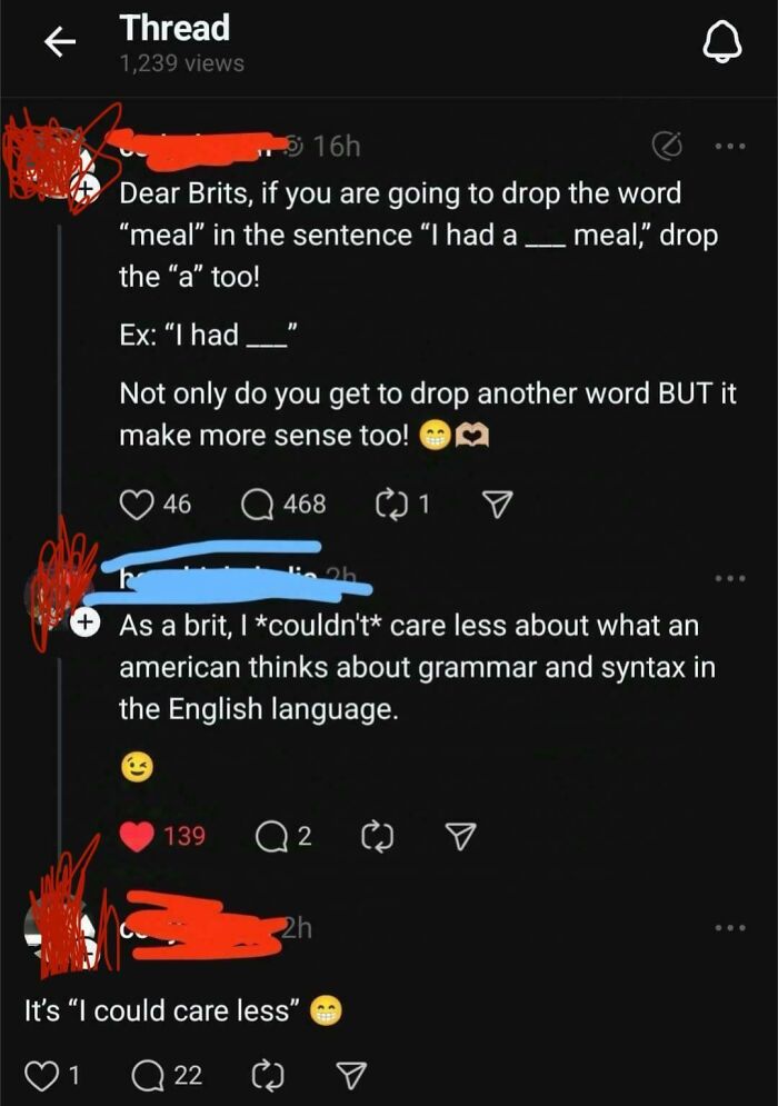 Screenshot of ridiculous American internet comments about grammar and language use getting roasted in an online thread.