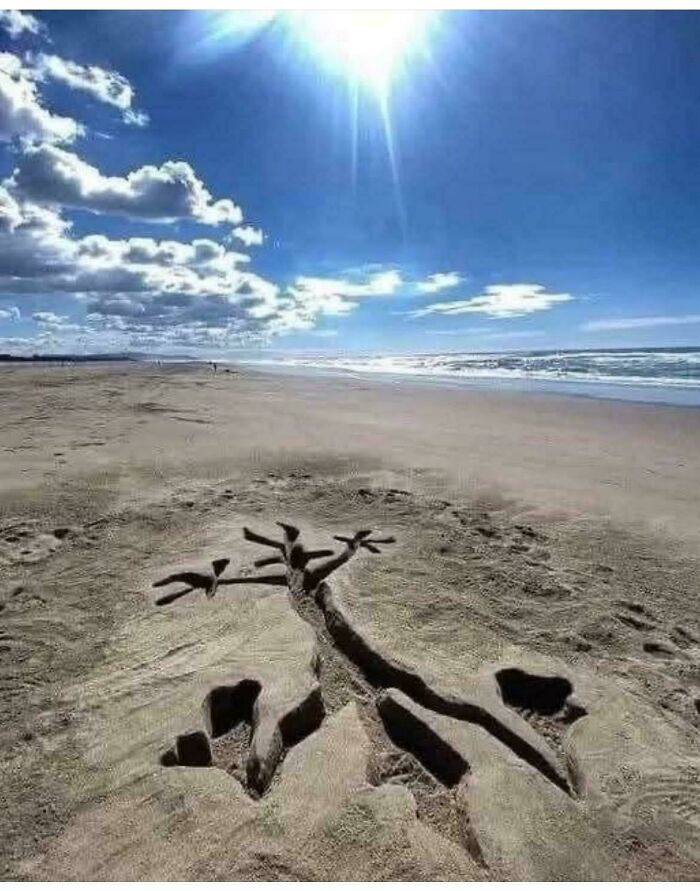 Sand sculpture of a tree on a sunny beach with clouds, evoking a nostalgic and old feeling from the past.