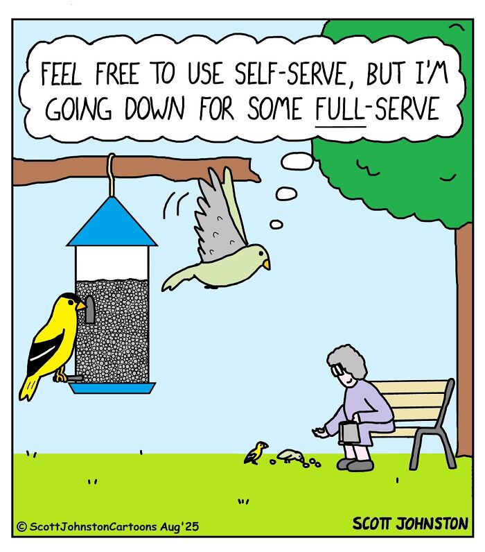 Birds at a feeder and a person feeding birds on a bench in a humorous comic by Scott Johnston.