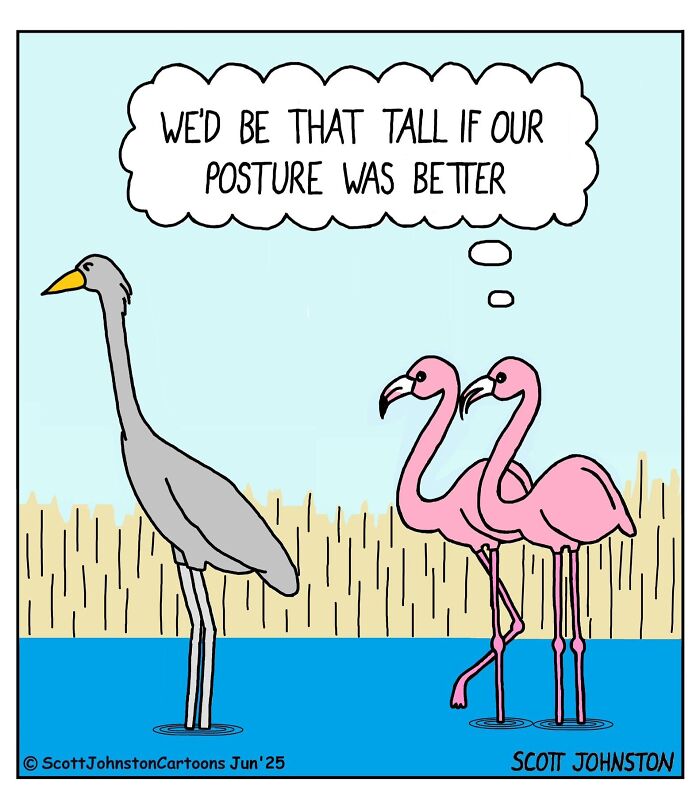 Cartoon by Scott Johnston showing two flamingos and a tall bird with a posture joke in a humorous comic style.