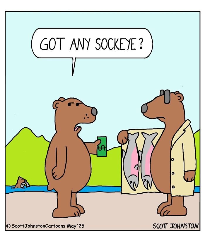 Cartoon of two bears trading fish with one asking for sockeye, a humorous comic by Scott Johnston.