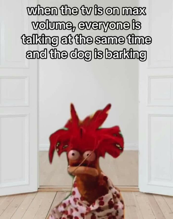 Muppet character looking overwhelmed with text about loud TV, people talking, and a barking dog, humor coping mechanism post.