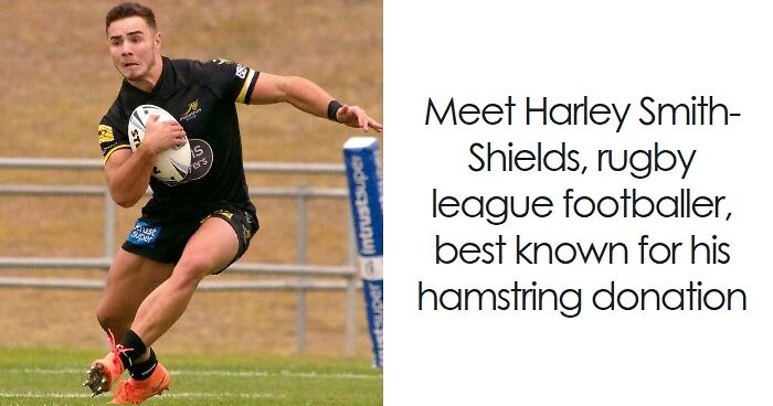 Harley Smith-Shields: Bio And Career Highlights