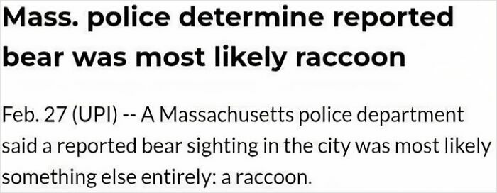 Mass police identify reported bear sighting as a raccoon, one of the wild incidents featured in surprising headlines.
