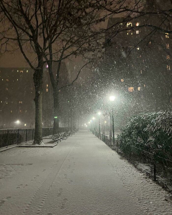 Snow falling gently on a quiet city walkway at night, creating a cozy winter scene with streetlights glowing softly.