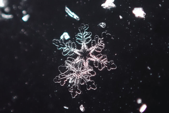Close-up of a detailed snowflake highlighting the beauty of winter in cozy images without stepping into the cold.