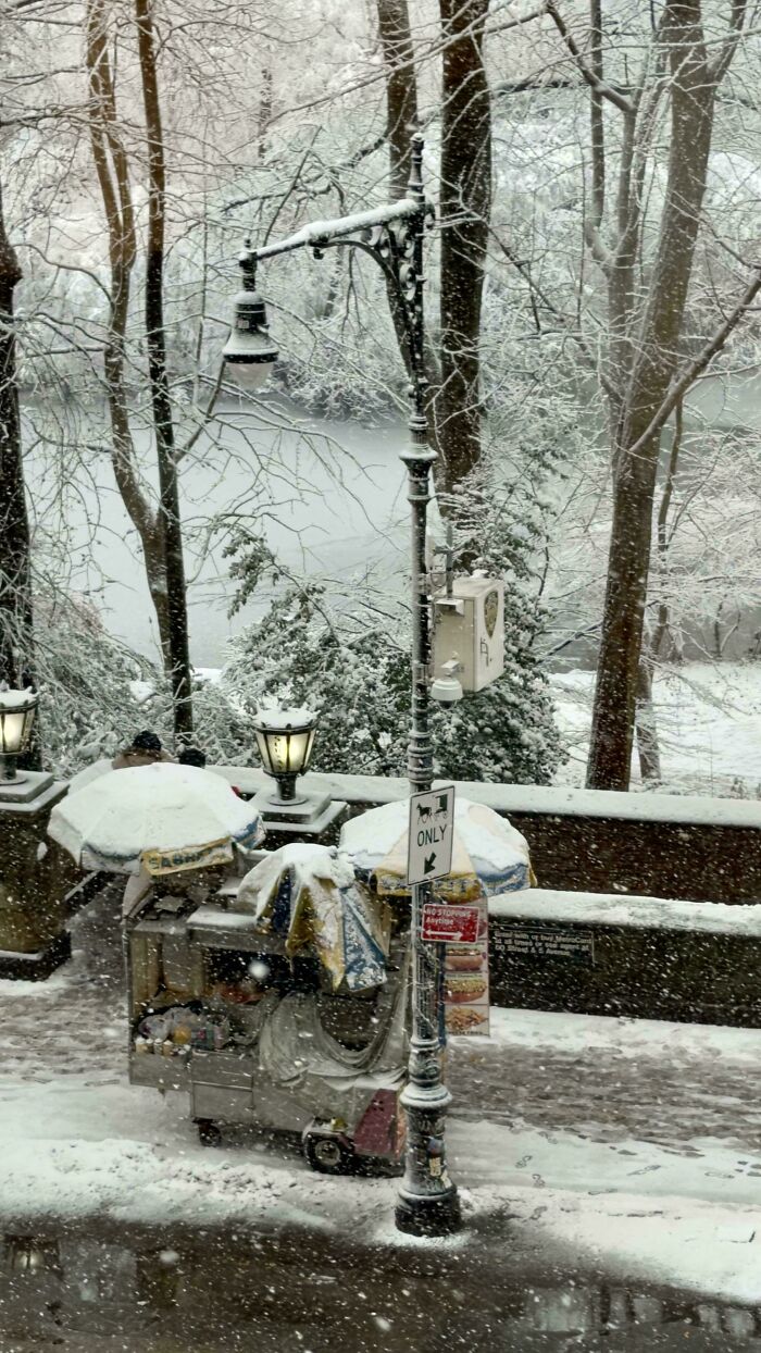 Winter street scene with snow-covered hot dog cart and trees, showcasing cozy winter images without stepping into the cold.