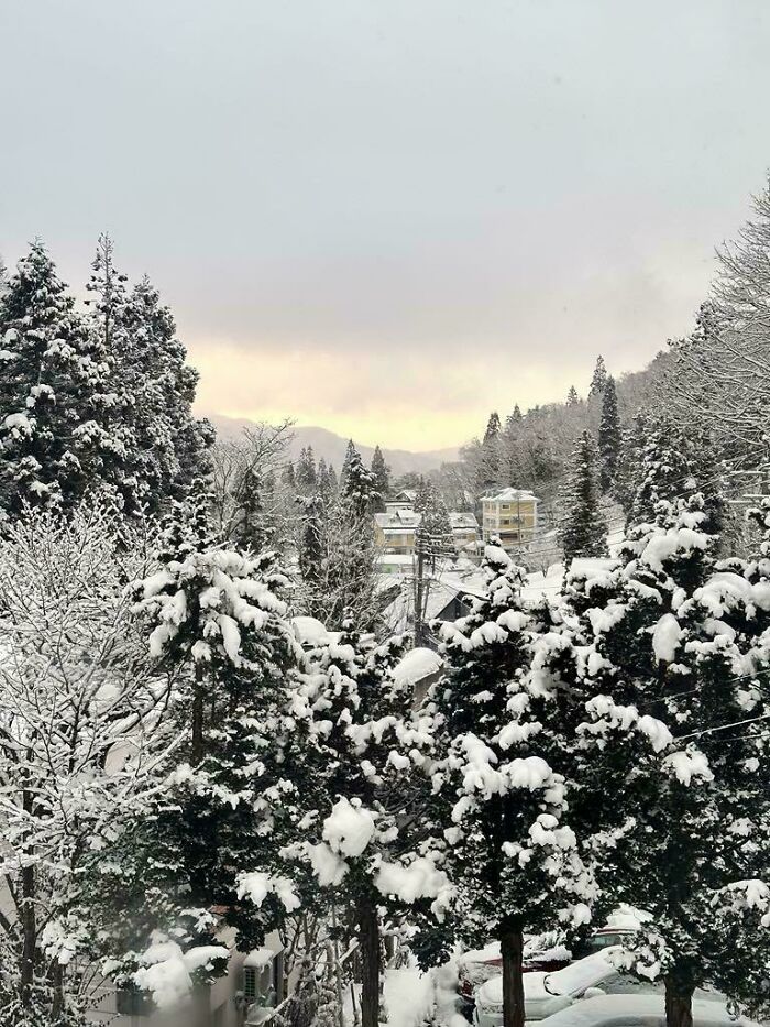 Snow-covered trees and houses in a peaceful winter landscape showcasing cozy winter images to enjoy indoors this year.