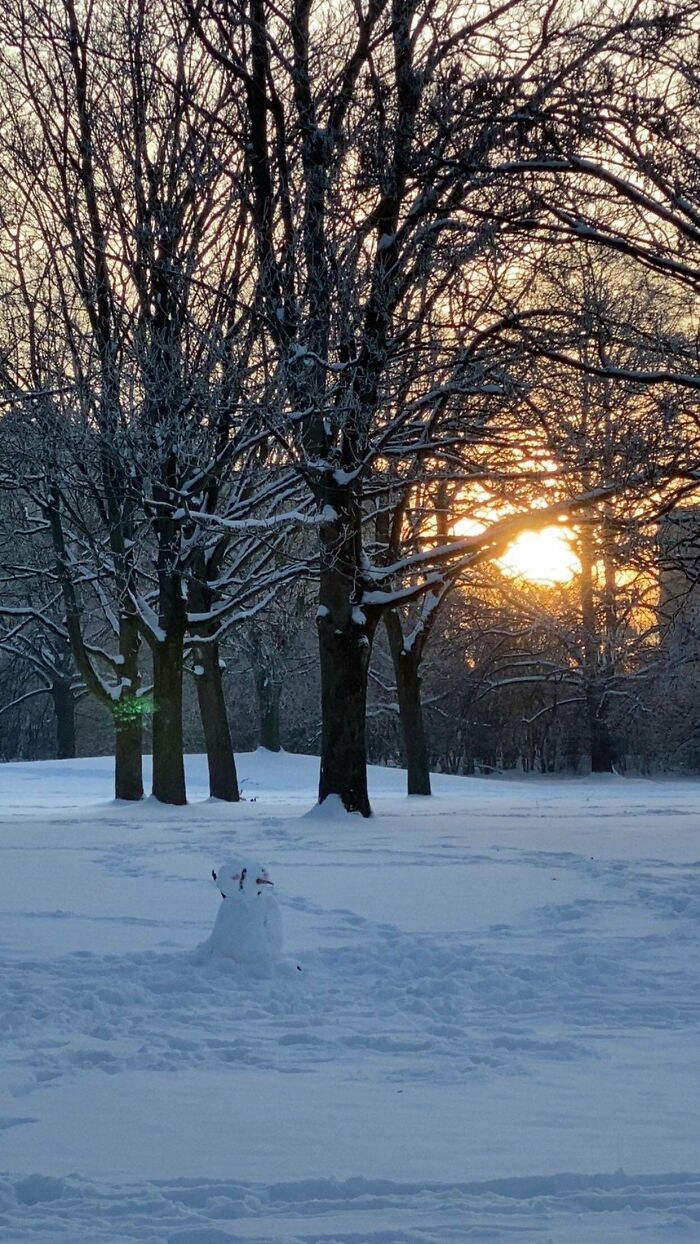 Snow-covered trees at sunset with a small snowman in a cozy winter scene to enjoy without stepping outside.