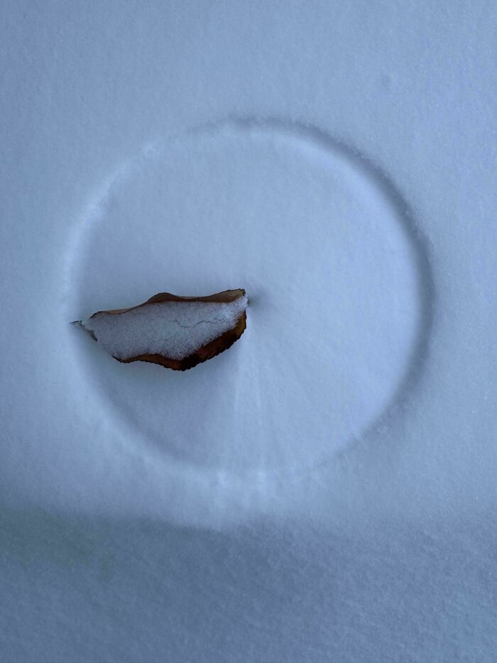 Dry brown leaf resting in a circular indentation on smooth white snow, capturing a cozy winter moment.