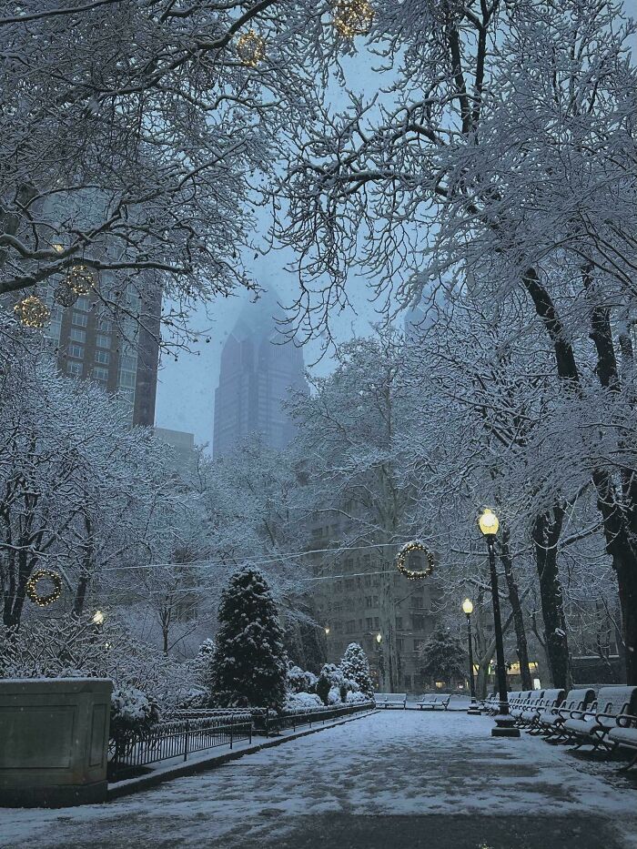 Snow-covered urban park with lit street lamps and benches, showcasing cozy winter scenes to enjoy without stepping outside.