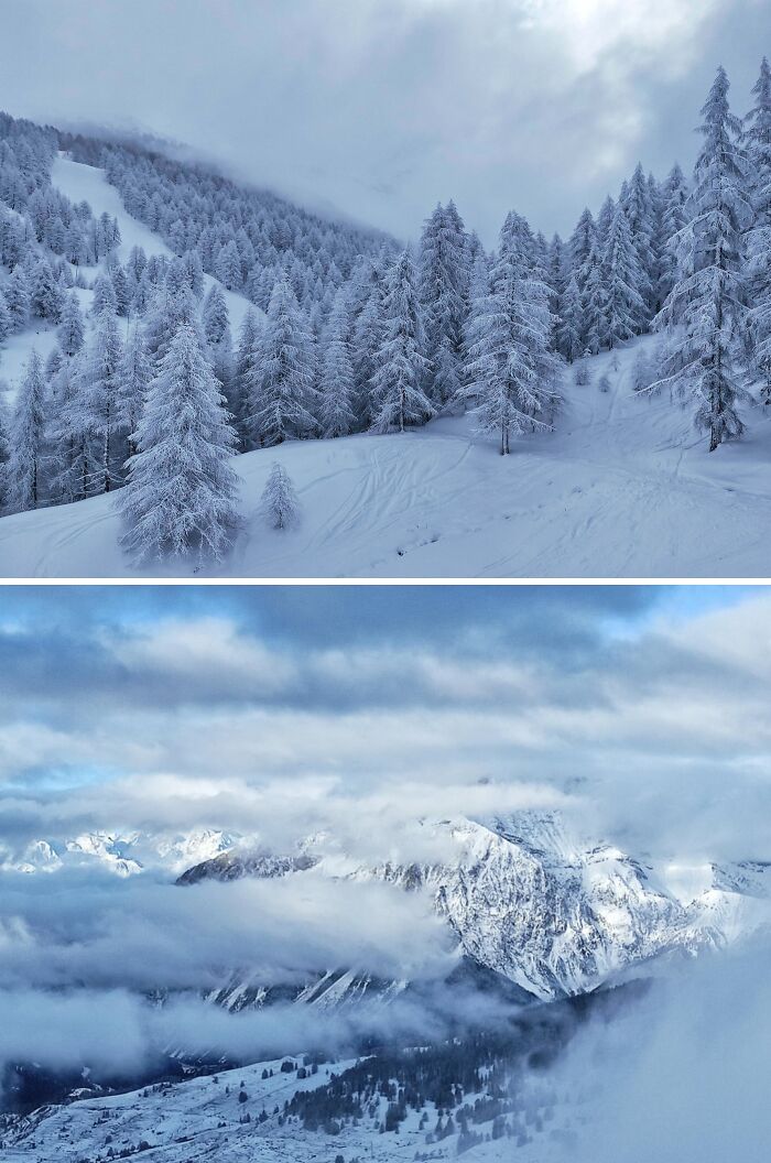 Snow-covered pine trees and misty mountain peaks in a serene winter landscape, perfect cozy images of winter.