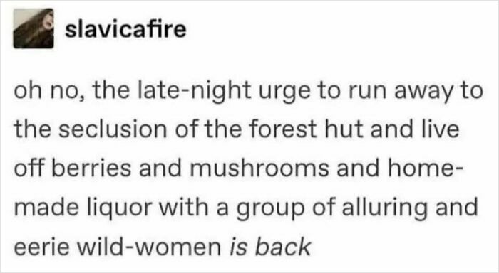 Text post about the urge to escape to the forest with wild women, highlighting feminist posts calling out the patriarchy.