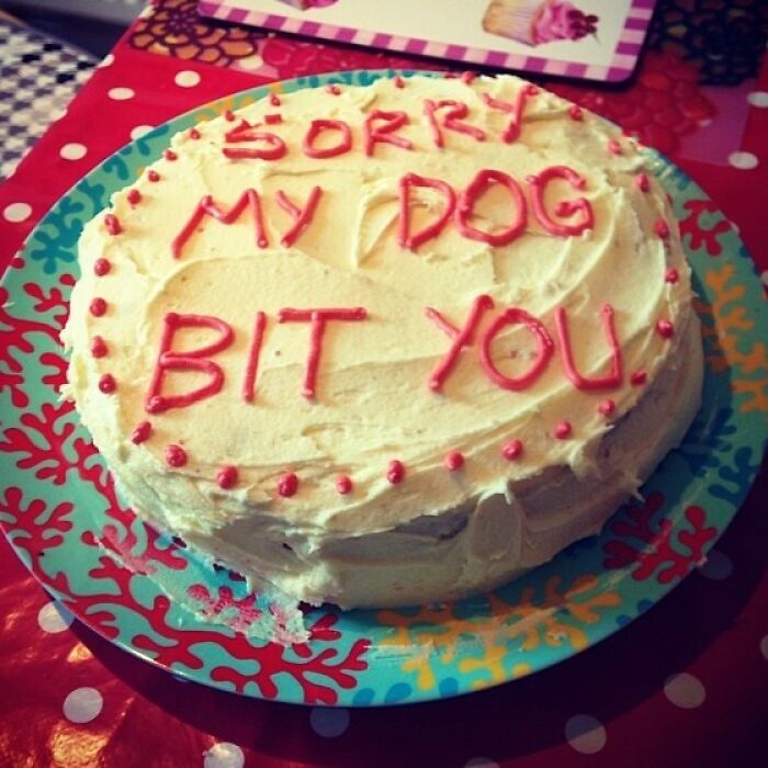 Funny cake with the message sorry my dog bit you reflecting honest emotions and humor in cake design.