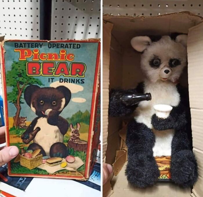 Creepy old-school battery operated picnic bear toy holding a bottle and cup inside a cardboard box.