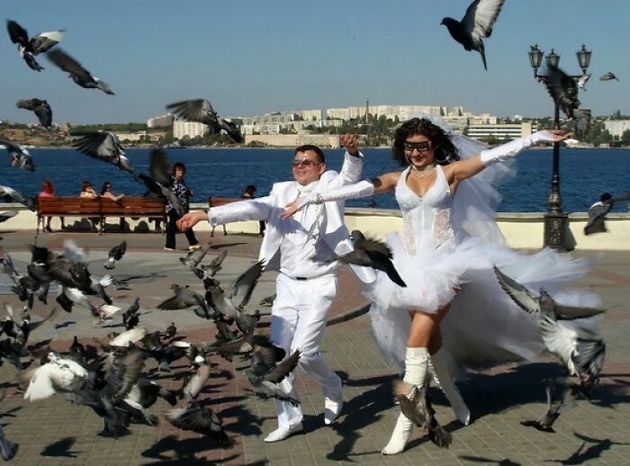Bride and groom in white outfits surrounded by pigeons in a waterfront setting, a humorous awkward wedding photo moment.