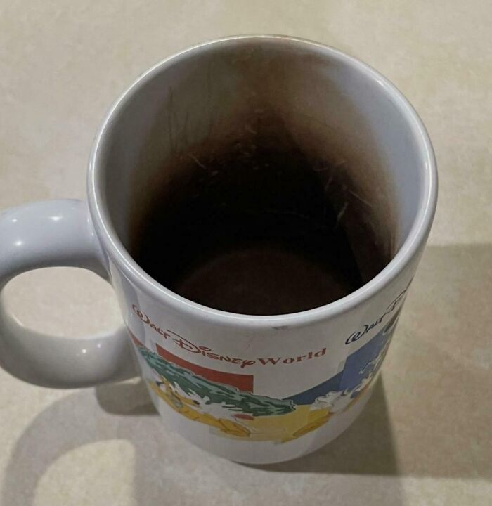 Worn down Disney World mug showing heavy coffee stains and discoloration inside from everyday use over time.