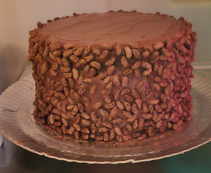 Chocolate cake covered in uneven peanuts and frosting, an example of a ruined dessert mishap.