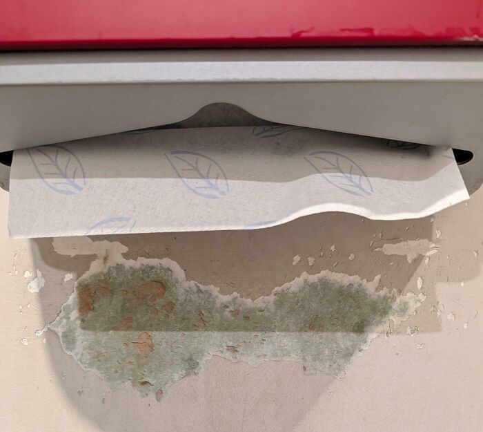 Worn down wall beneath a paper towel dispenser showing discoloration and peeling paint from moisture damage.