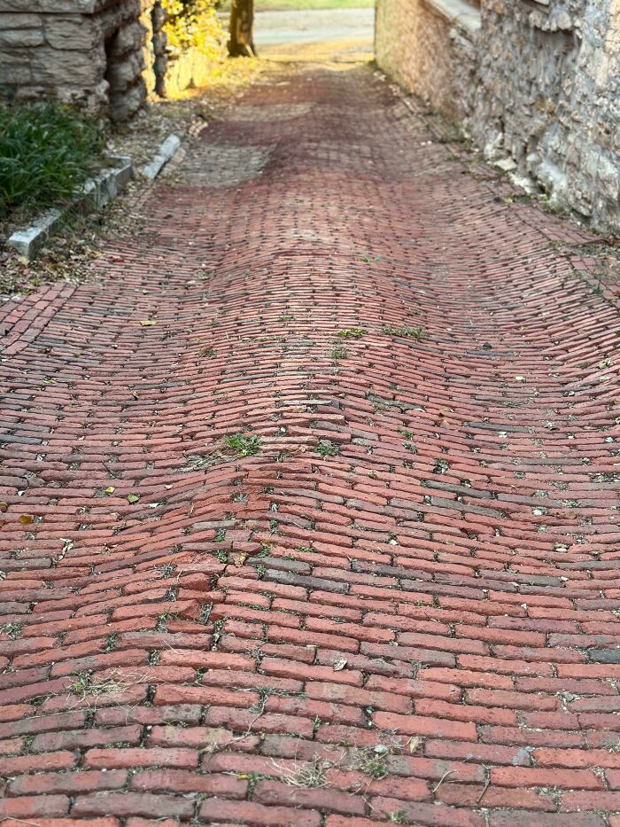 Worn down brick pathway with uneven surface and grass growing between bricks showing natural wear over time.