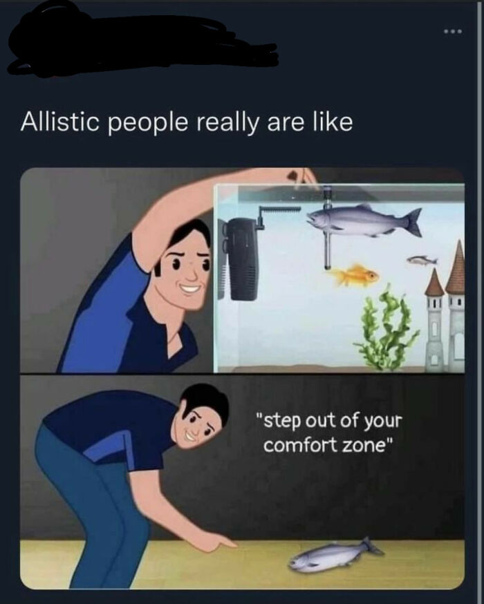 Meme showing a person encouraging a fish to step out of its comfort zone, reflecting life with a spicy neurodivergent brain.
