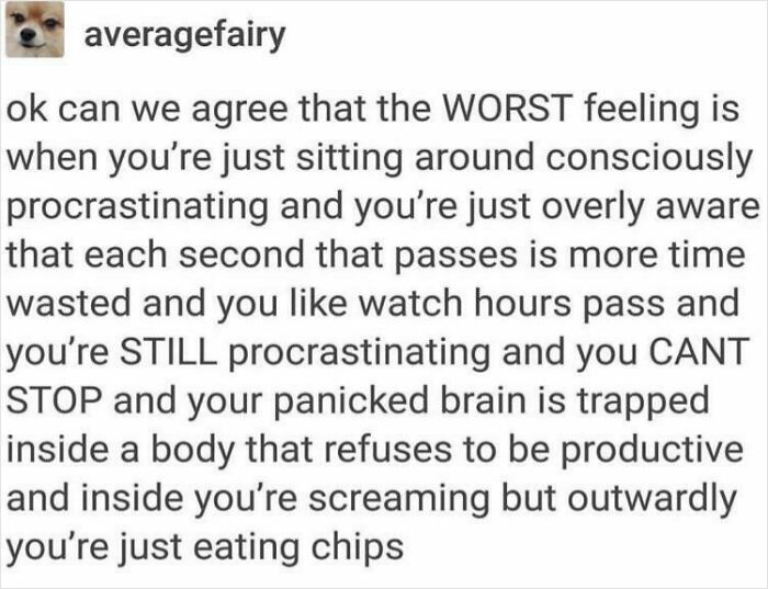Text post describing the feeling of stuck, panicked brain and procrastination reflecting life with a spicy neurodivergent brain.