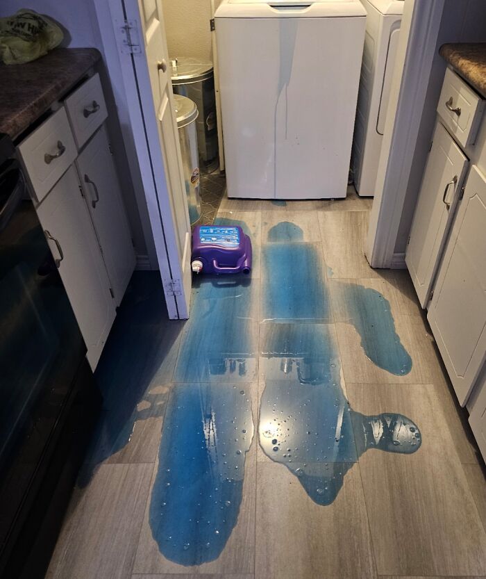 Laundry room with a large spilled container of blue liquid on the floor, an expensive and unfortunate fail in the kitchen.