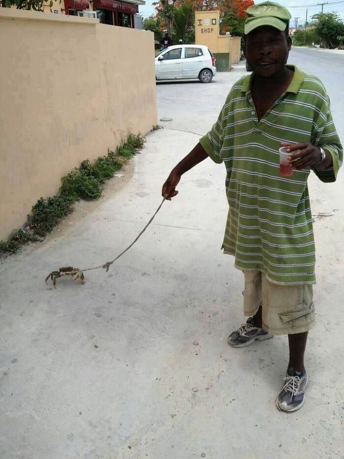 Man in a green striped shirt walking a crab on a leash, holding a drink, in a confusing and funny outdoor scene.
