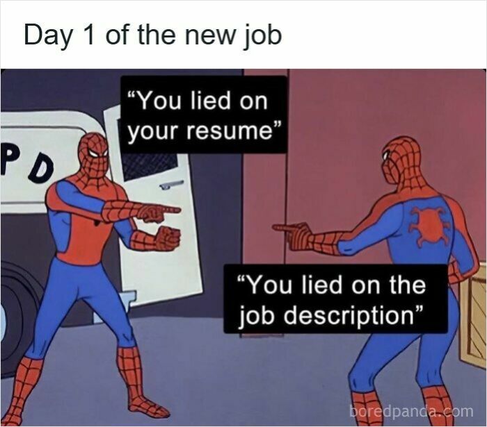 Spider-Man meme showing two characters pointing at each other with captions about lying on a resume and job description, resume memes.