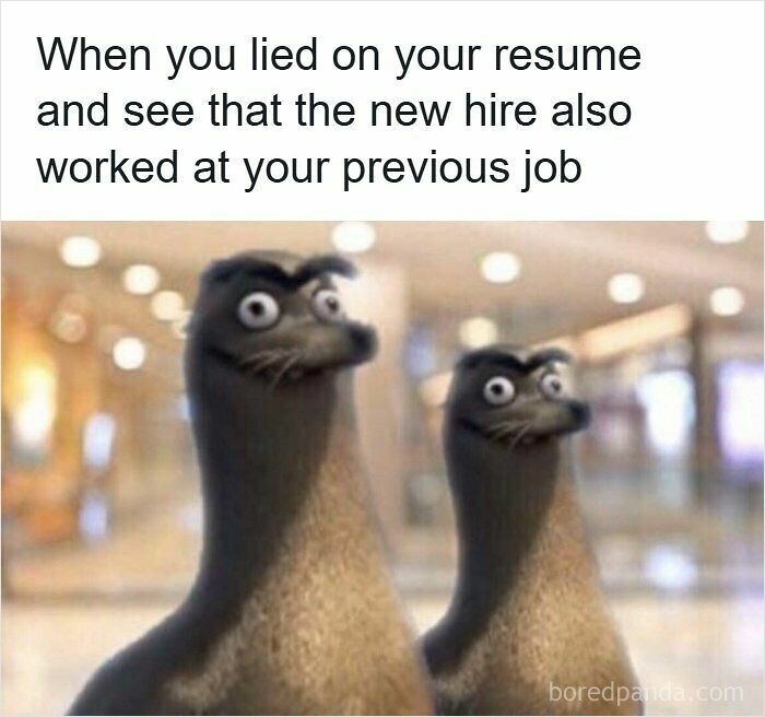 Two wide-eyed, surprised animated animals with text about lying on a resume and seeing the new hire worked at your old job.