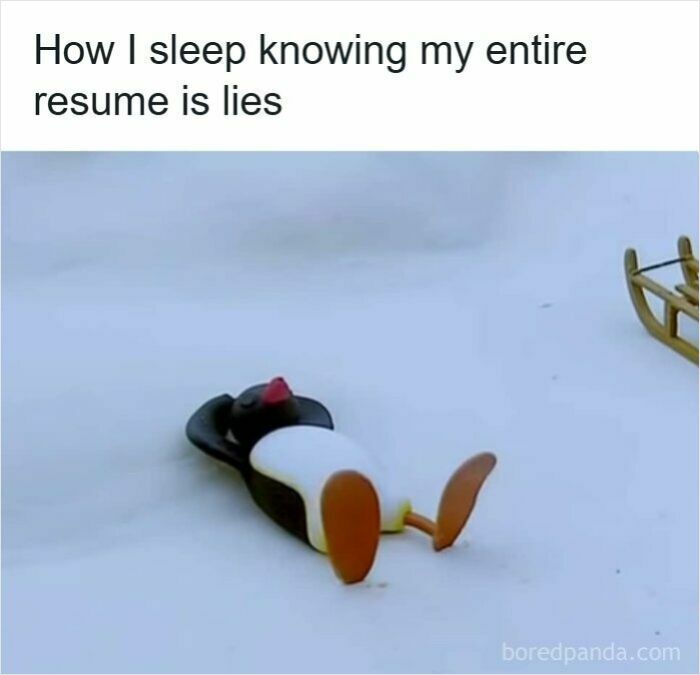 Penguin lying on snow with caption about sleeping knowing entire resume is lies, a resume meme about hiring process frustration.