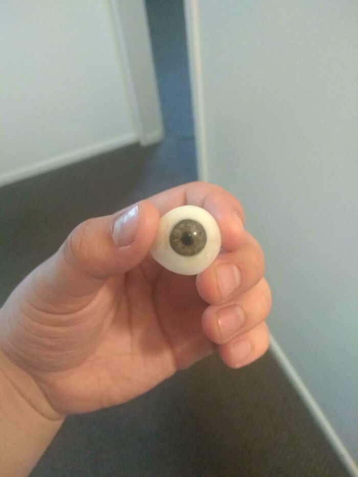 Hand holding a realistic fake eyeball, illustrating weird teacher behavior witnessed in class by people.