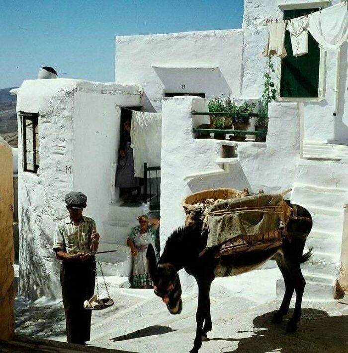 Man weighing goods near a donkey on a sunny street in a traditional whitewashed village in historical photographs.