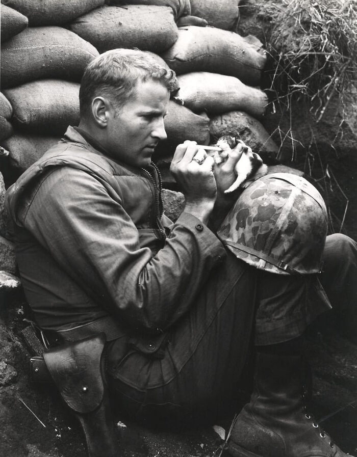 World war soldier in trench gently feeding a small kitten, an interesting historical photograph showing a rare moment of care.