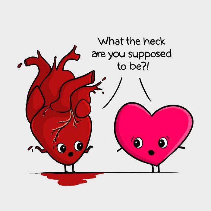 Illustration of cute humor with wholesome wordplay showing an anatomical heart and a cartoon heart having a funny conversation.