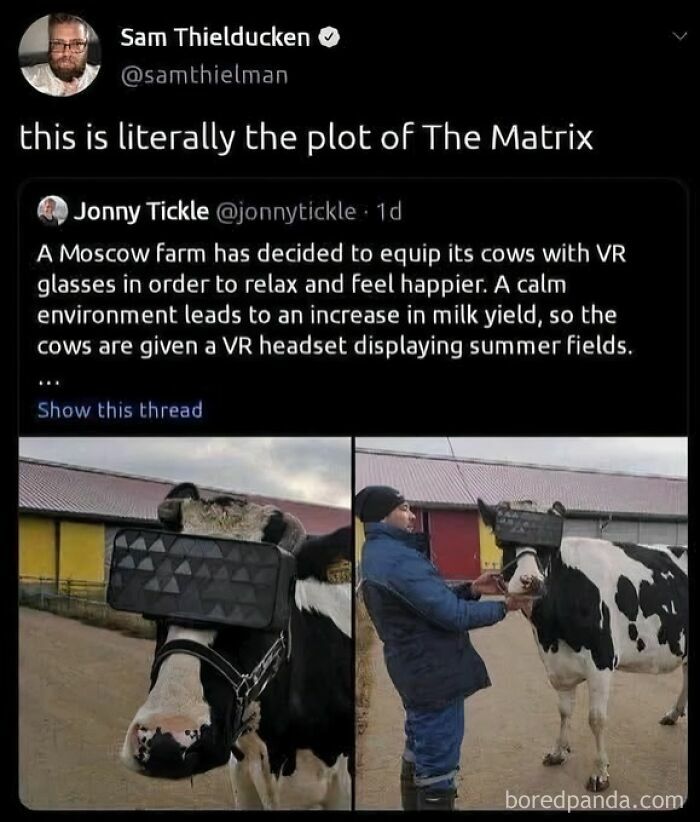 Twitter post showing a Moscow farm using VR headsets on cows to create a calm environment in this dystopia example.