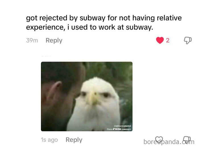 Comment about Subway rejection paired with a confused eagle meme, reflecting U.S. images that serve as a warning.
