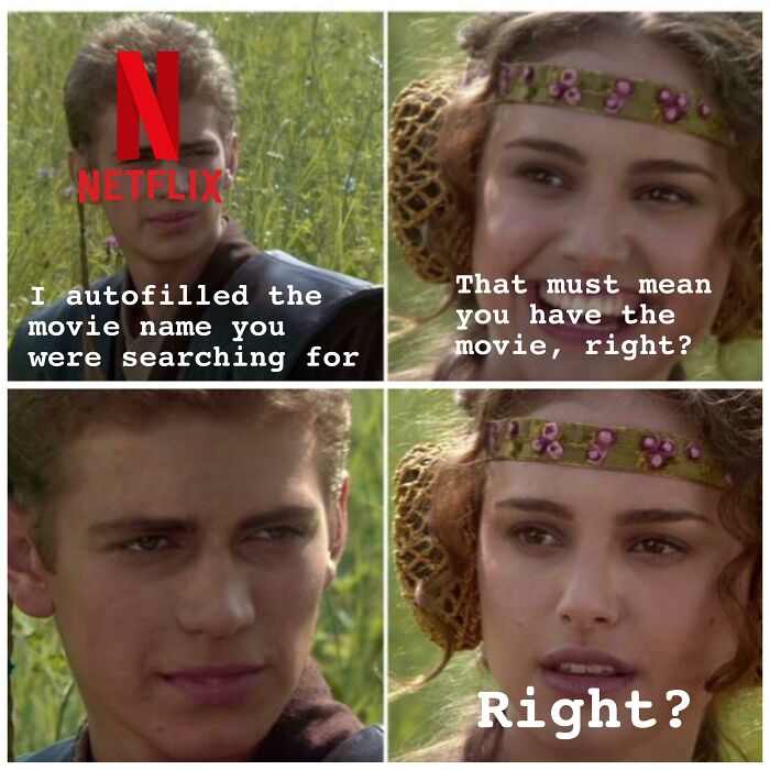 Netflix meme about autofilled movie search showing relatable confusion between characters in a popular film scene.