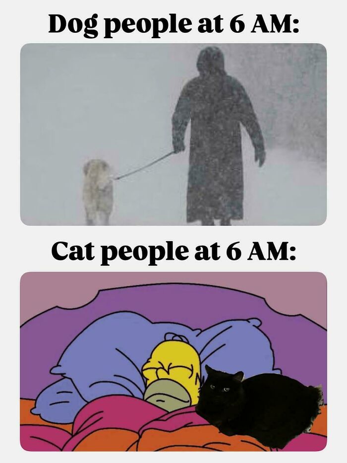 Hilarious relatable meme showing dog people walking early and cat people sleeping with a cat at 6 AM.